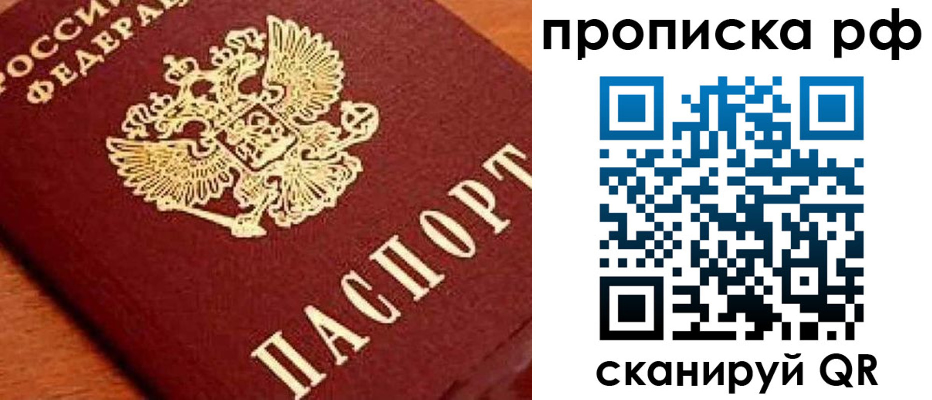 прописка законно в Североморске